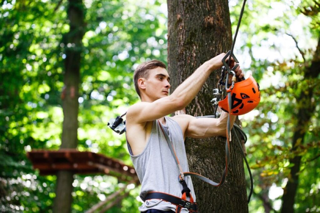 tree pruning