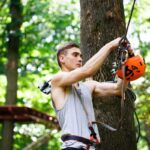 arborist in Sydney