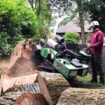 backyard stump grinding