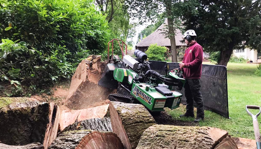 backyard stump grinding