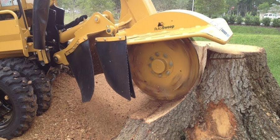 backyard stump grinding